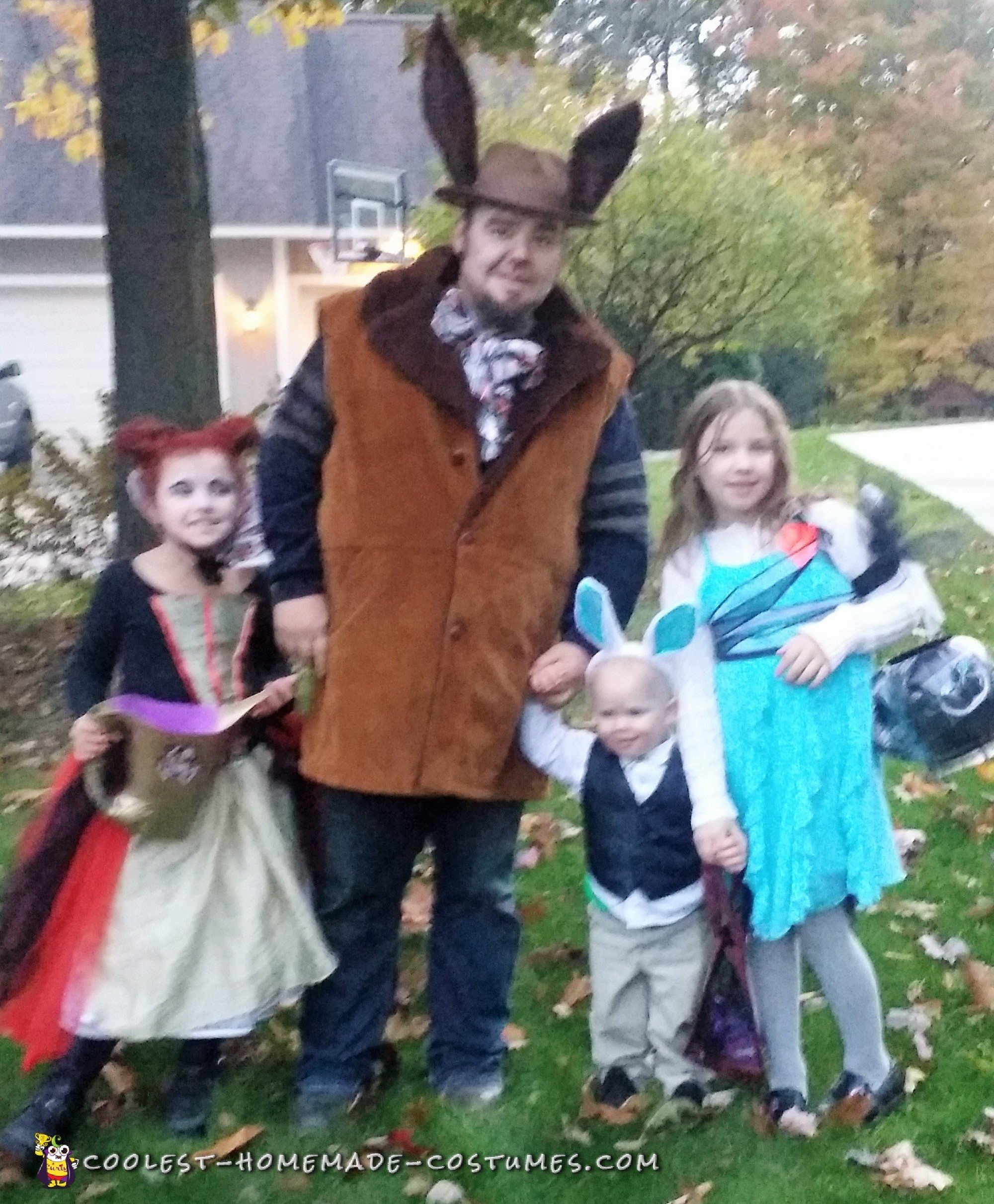 Coolest Homemade Alice in Wonderland Group Costumes