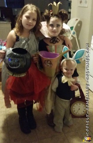 family alice in wonderland costumes