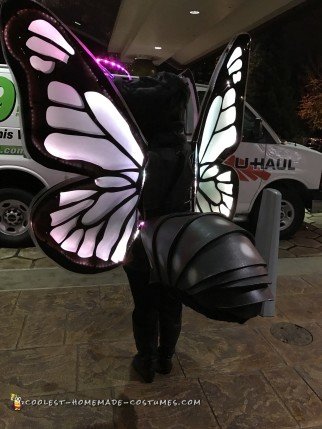 Amazing Butterfly Costume