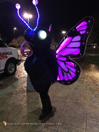 Amazing Butterfly Costume