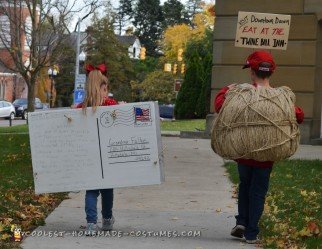 creative homemade costumes