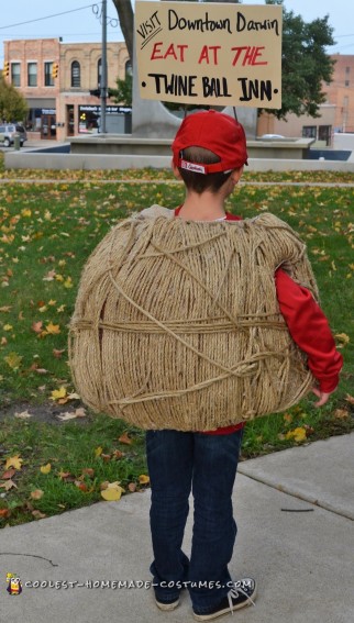 creative homemade costumes