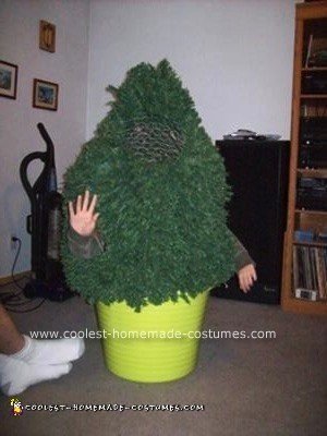 A Shrub...The Best Spy Costume Ever