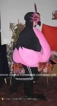 Flamingos - Animal Halloween Costumes