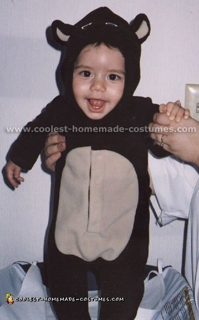 Coolest Bear Costume Ideas