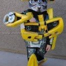 Coolest Ever Bumblebee Costume Ideas