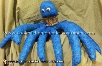 Coolest Homemade Cat Halloween Costume Ideas