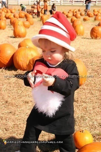 Cat in the Hat Costume