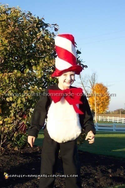 cat in the hat costume diy