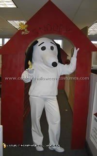 Charlie Brown Costume, Lucy and Snoopy