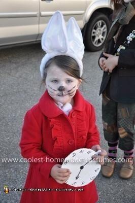 Homemade Alice in Wonderland Group Costume