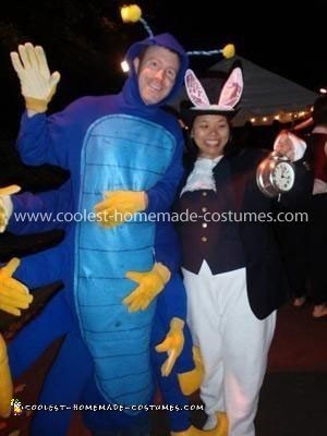 Homemade Alice in Wonderland Group Costume