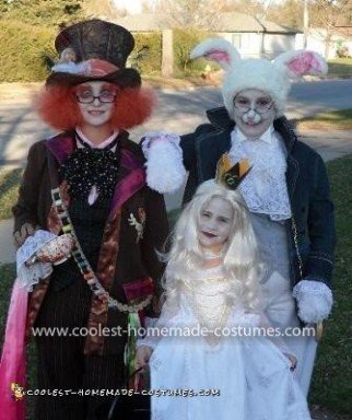Homemade Alice in Wonderland Trio Costume
