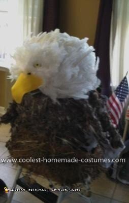 Homemade American Bald Eagle Costume