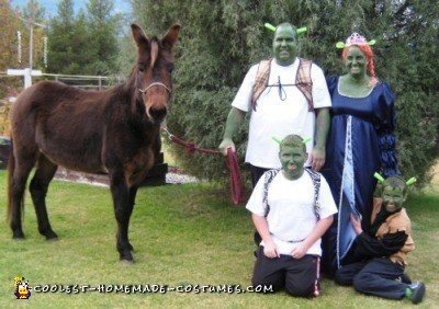 Homemade and Easiest Shrek Family Costume