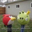 Homemade Angry Birds Costume