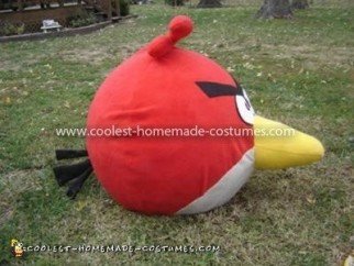 Homemade Angry Birds Costume