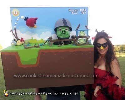 Homemade Angry Birds Couple Costume