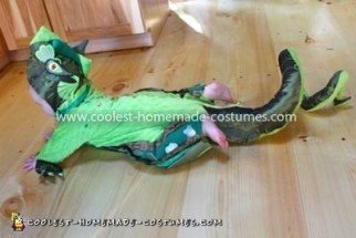 Coolest Baby Dragon Costume