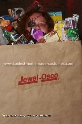 Homemade Bag of Groceries Costume