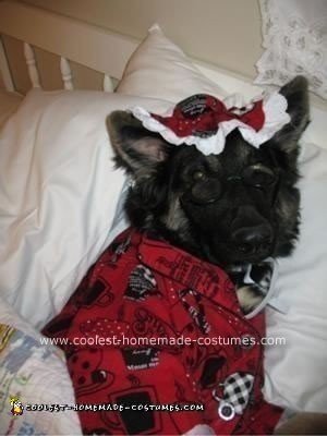 Coolest Big Bad Wolfie DIY Dog Costume