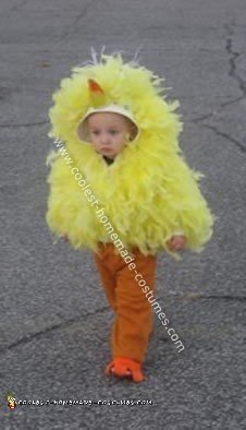 Homemade Big Bird Costume