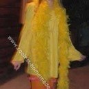 Homemade Big Bird Costume