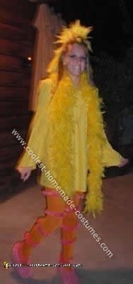 Homemade Big Bird Costume