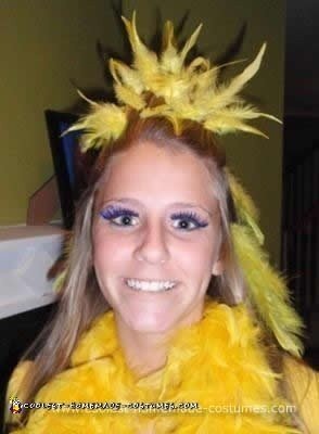 Homemade Big Bird Costume