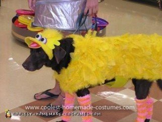 Homemade Big Bird Dog and Oscar the Grouch Handler Costume