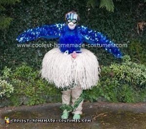 Homemade Bird in Nest Costume