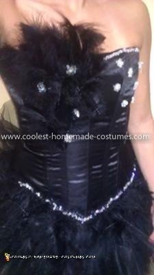 Coolest Black Swan Costume - Added bead work