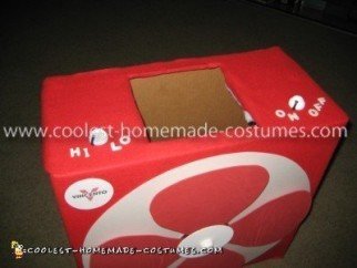 Homemade Box Fan Costume