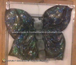 Coolest Butterfly Costume 9