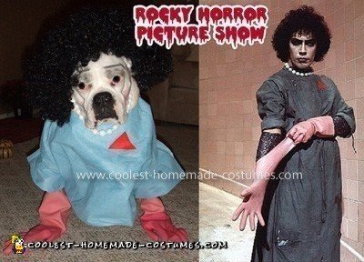 Homemade Canine Dr Frank-N-Furter Costume