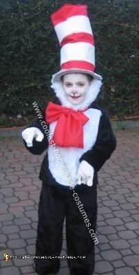 Homemade Cat in the Hat Costume