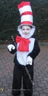 cat in the hat costume diy