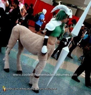 Homemade Centaur Costume