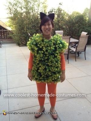 Homemade Chia Pet Costume