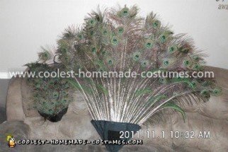 Homemade Child's Peacock Costume