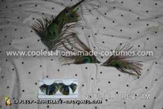 Here the fake eyelashes that look like peacock feathers, the pieces we glued above her eyes, and the hairpiece I made