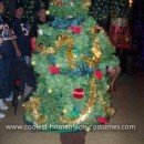 Homemade Christmas Tree Costume