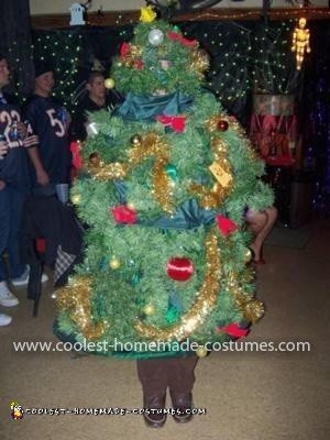 Homemade Christmas Tree Costume