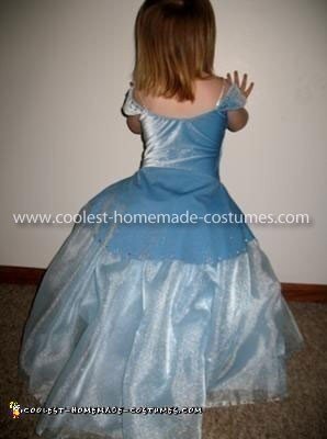 Homemade Cinderella and Prince Charming Couple Costume