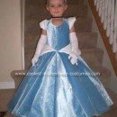 Homemade Cinderella Costume