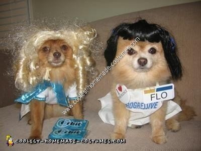 Funny Dog And Owner Costumes