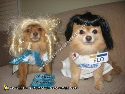 11 Funny Dog Costumes Anyone Can Make at Home!