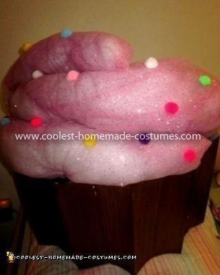 Homemade Cupcake and Baker Costume