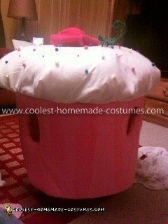 Homemade Cupcake Child Costume