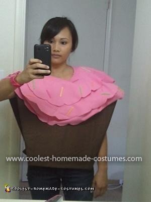 Homemade Cupcake Costume